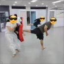 용인대 매화태권도 이미지