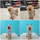 은광주유소 이미지