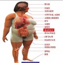 바디핏짐 이미지