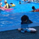 세종산뜰에 이미지