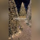 오동동177 이미지