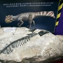 프로토케라톱스 이미지