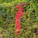 행운 행정사사무소 이미지