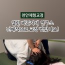 엘린바른자세연구소