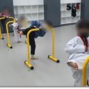 세심태권도 이미지