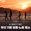 장림항(맛술촌) | 늦가을, 부산 11월 일몰·노을 명소