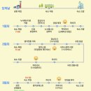 발리 | 발리 패키지여행 후기 및 일정표