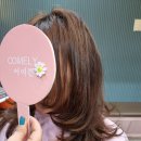 어여쁜 : COMELY 이미지