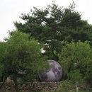 하니와클로버 | 아산 가볼만한 곳 - 외암민속마을 (늦은 능소화& 이른 연꽃 7월 꽃구경)