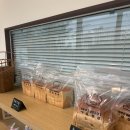 화성초록병원 | 안산 소아과 진료 후기 &amp; 화성 남양 성모성지 가족 산책 코스 추천