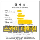 [서울대학교 대학원] AI 협동과정 24년 후기 합격소감 및 서류,컨텍,면접 준비 A to Z 공개