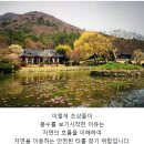 솜다리반의 5월 3주 이야기 이미지