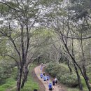 염포운동장 | 20250914 울산 염포산 전국마라톤대회 후기