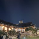 청화오리 이미지