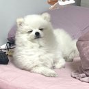 멍아지트 이미지