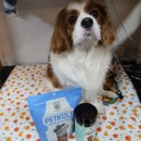 FM덴탈 | 반려견 수제간식 우리 강아지 까까 오리안심, 개껌 구매후기