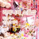 라베니체 소품샵 | 핑크버스,마요앤샐리 감성넘치는곳! 꼭들려야함