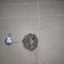 포시즌무인텔 이미지