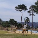 로얄체력단련장 이미지