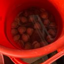 처갓집양념치킨(태안점) 이미지