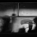 동백장모텔 이미지