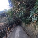 거제지심도 이미지