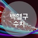 백혈구 수치가 높으면 어떤 증상이 나타날까 이미지