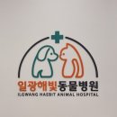 일광해빛동물병원 | [부산 기장] 일광해빛동물병원 방문 후기 🐶🐕