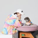 비오비스타일(BOB)