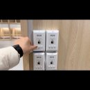 옐레드 애견유치원 & 애견호텔, 미용 안산고잔점 | 강아지 호텔, 애견 호텔 옐레드 안산 고잔점💜