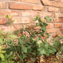 2월호텔(대구수성점) 이미지