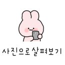 살림이 편해지는 정리정돈 이미지