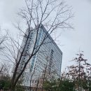 법률사무소희성