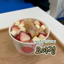 [구미/문성] 요아정 | 요거트 아이스크림의 정석 | 빙수추천 | 카페추천