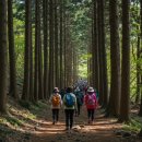 제주한란전시관 | 제주 여행사 추천 | 워크숍·단체여행 전문 기획 노하우