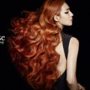스타일 제이(style j) 헤어 이미지