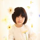 로이레스튜디오 이미지