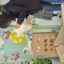 구립새하늘어린이집 네이버블로그