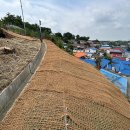 고양화전9 이미지