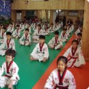 강박사태권도장 이미지