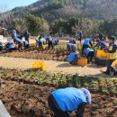 이순신대교 전망대 이미지