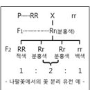 (합)동주개발 | 2010년 4회 종자기능사 필기 기출문제, CBT