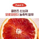 오렌지빠 이미지
