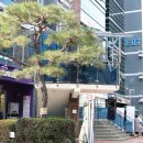 육공단지구내식당 | 구로디지털단지 구내식당 건강한밥상 후기 - feat 찬이주방