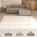 동일하얀세탁소 | 새해 맞이 지름신 3 - 러그형 전기장판 (워밍업)