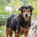 세이블모텔 이미지