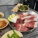 바이소 이미지