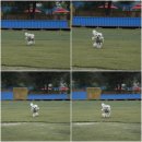 펫피랜드 이미지