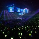 도영 카카오 검색결과