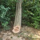 가연 태양광발전소 이미지